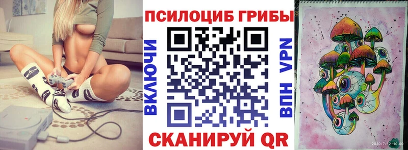 Псилоцибиновые грибы Psilocybe  Белая Калитва 