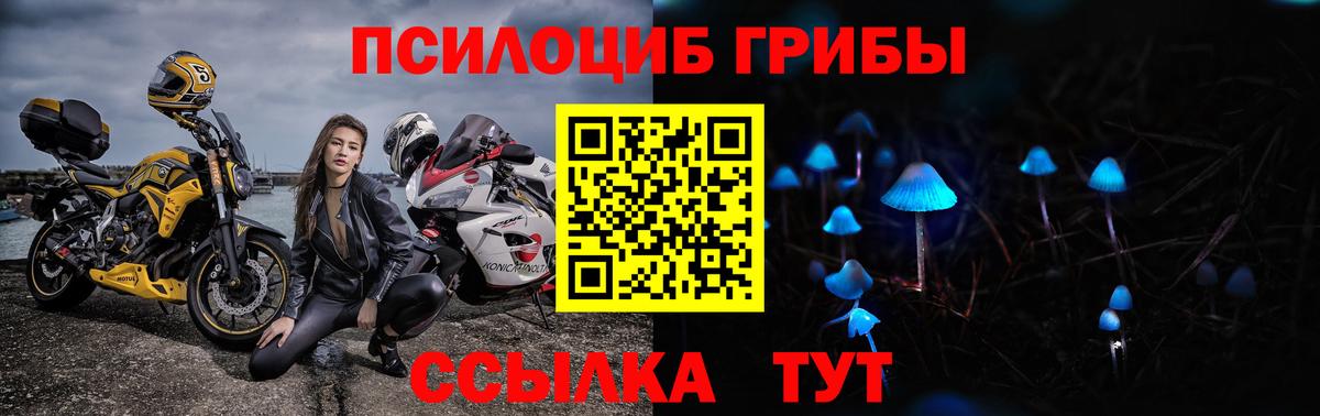 Белая Калитва  Псилоцибиновые грибы ЛСД  Вход с VPN  Галлюциногенные грибы Cubensis 